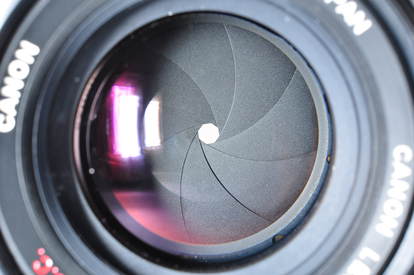 Canon F-1 Late model Maintained SLR 35mm Film Camera FD 50mm f/1.4 SSC "〇" From Japan #584659