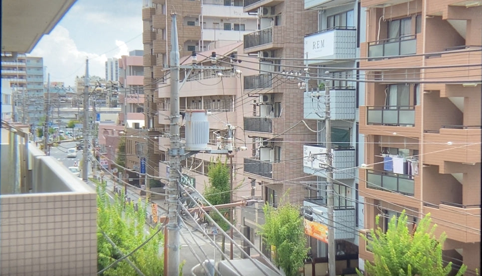 Canon AE-1 Program Black 35mm SLR Camera New FD 50mm F1.4 Maintained From Japan #1099884